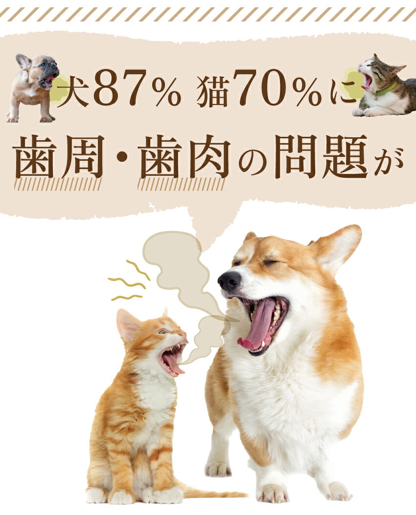 犬・猫・口臭のサプリ