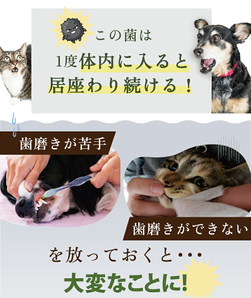 犬・猫・口臭のサプリ