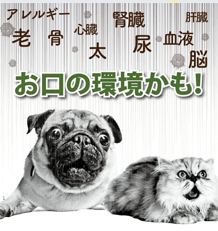 犬・猫・口臭のサプリ