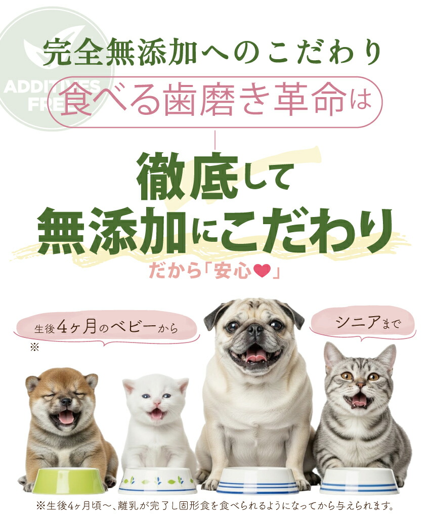 犬・猫・口臭のサプリ
