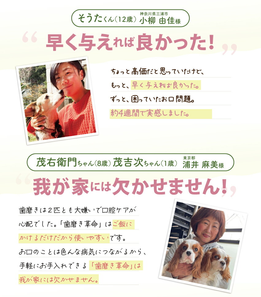 犬・猫・口臭のサプリ