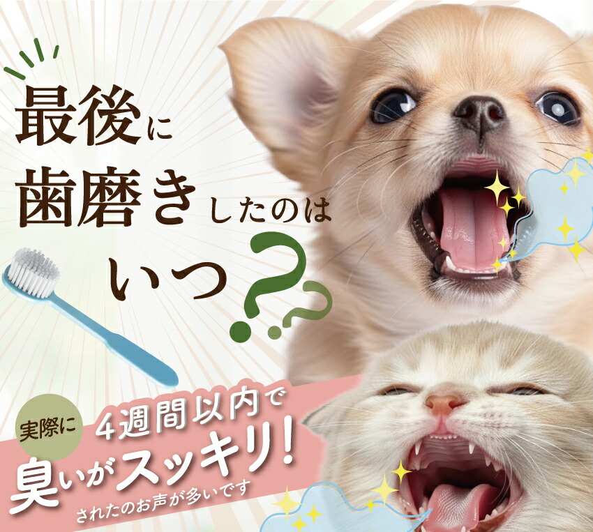 犬・猫・口臭のサプリ