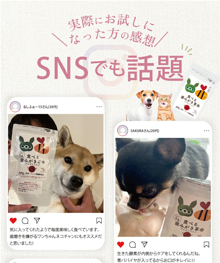 犬・猫・口臭のサプリ