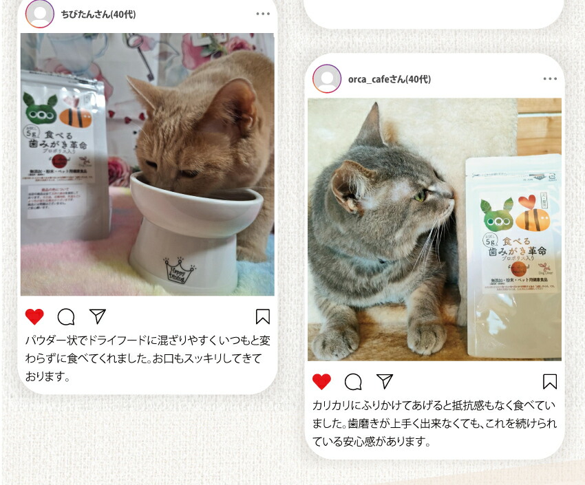 犬・猫・口臭のサプリ