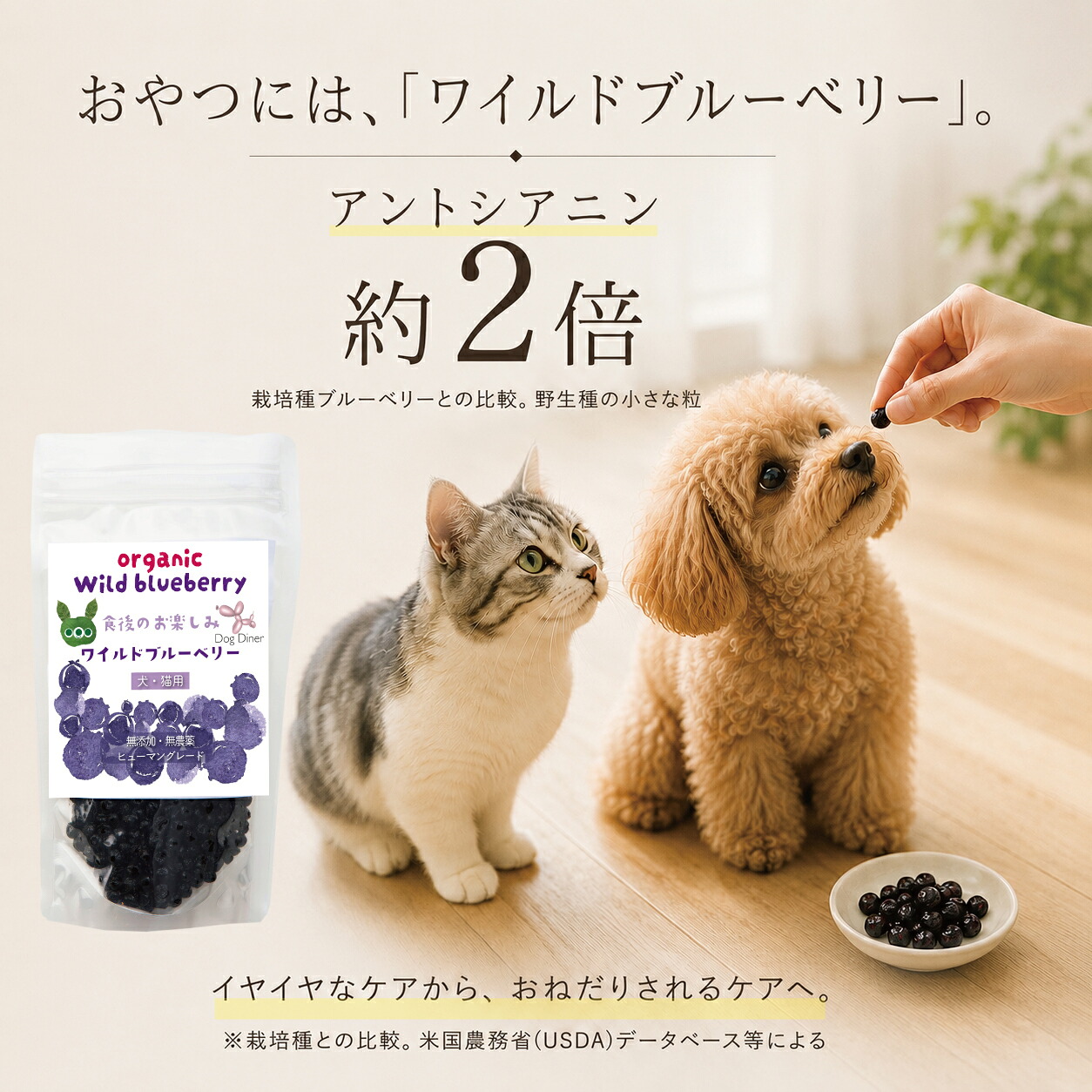 ドッグダイナー 犬・猫の目の健康維持に アイケアセット 食べる目の
