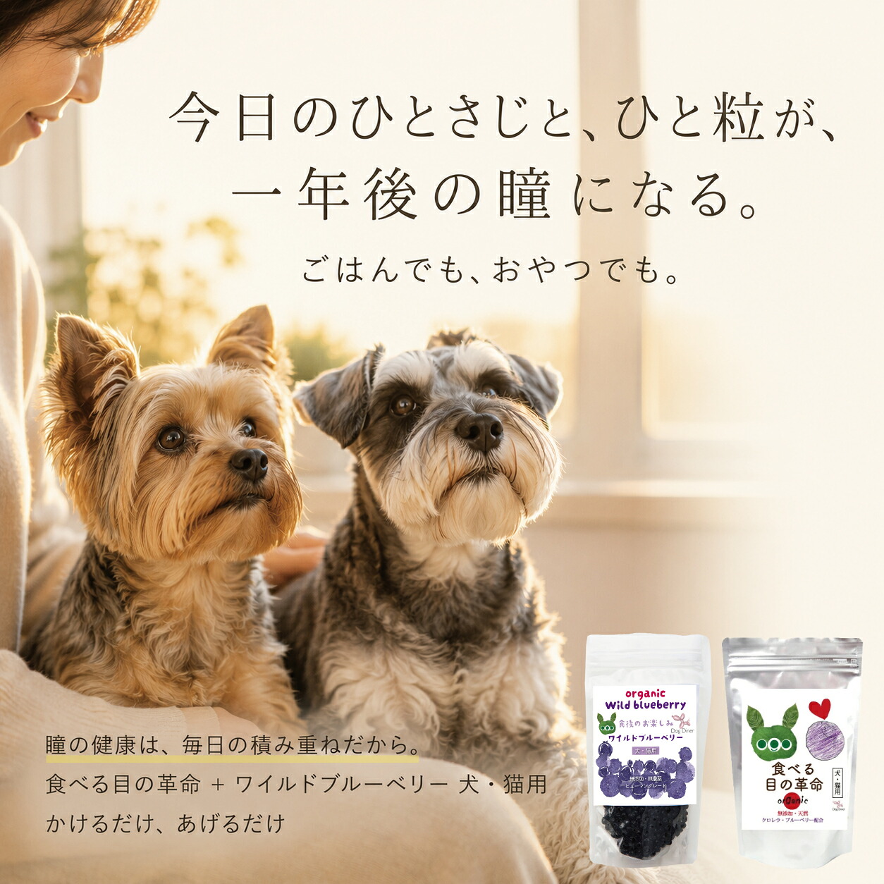 ドッグダイナー アイケアセット 食べる目の革命30g＋ワイルド