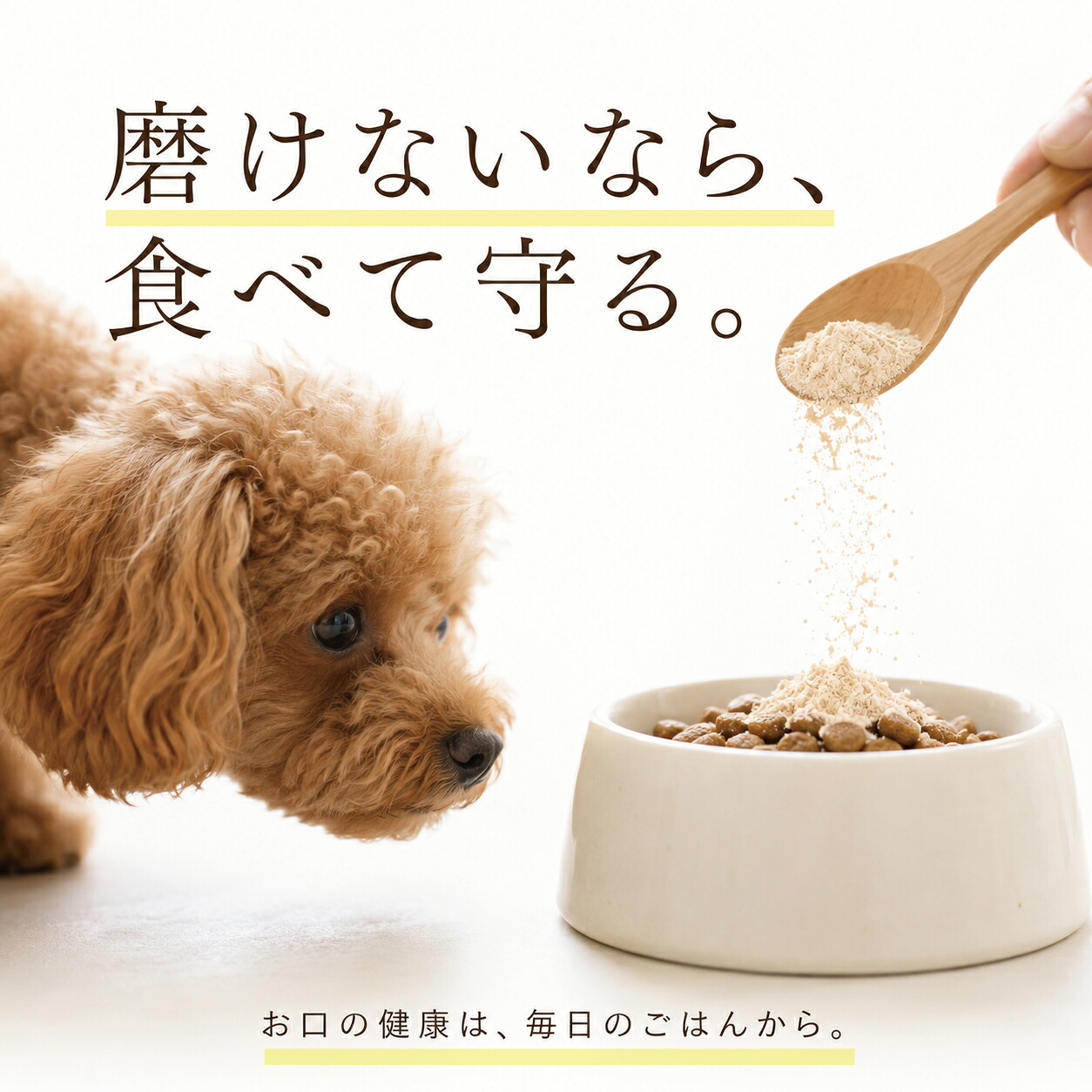 食べる歯磨き革命 30g 小型犬約60日分 犬...の詳細画像5