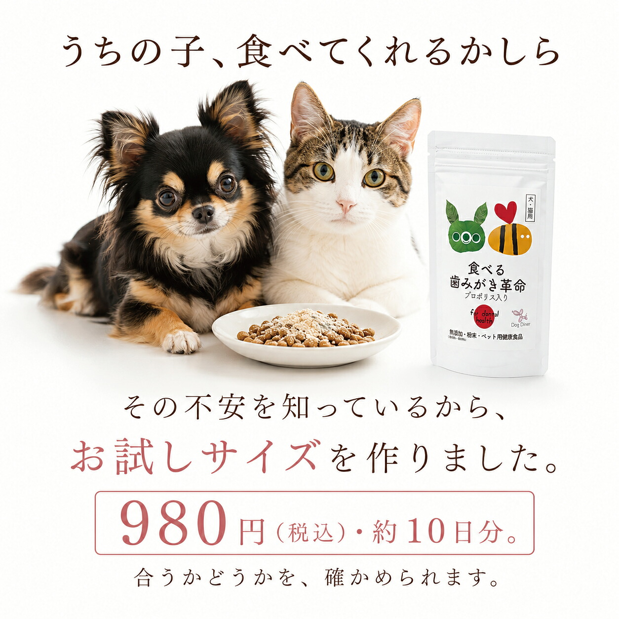 ドッグダイナー 食べる歯磨き革命 お試し5g 小型犬約10日分 犬 猫