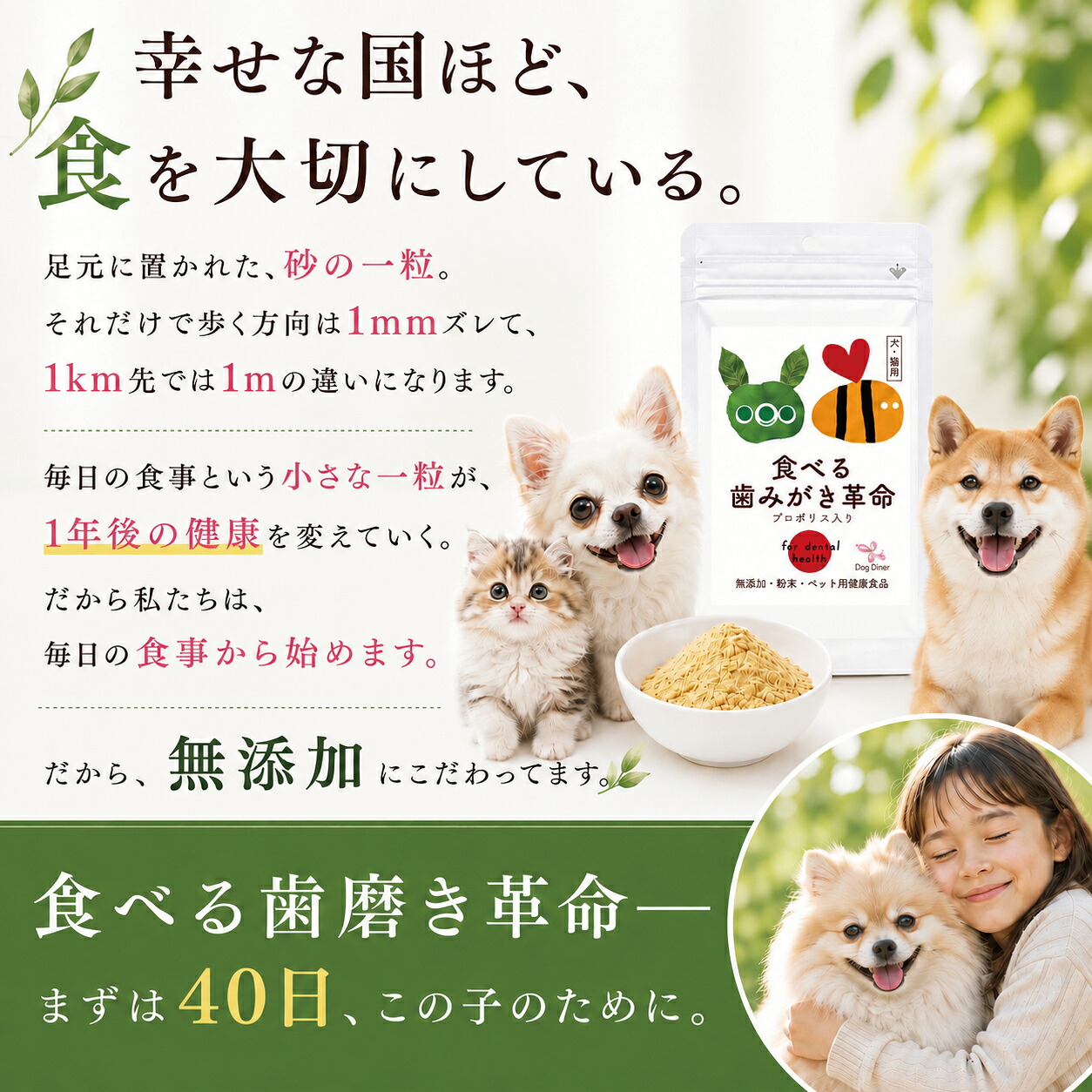 【値下げ中!6月1日迄】ドッグダイナー食べる歯みがき革命 100g③2個セット 値下げ中!6月1日迄】ドッグダイナー食べる歯みがき革命 100g③2個