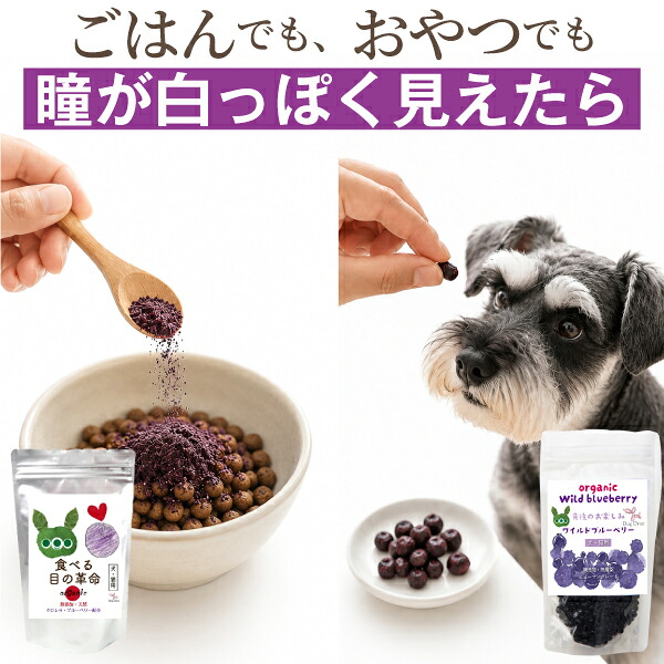 ドッグダイナー アイケアセット 食べる目の革命30g＋ワイルド