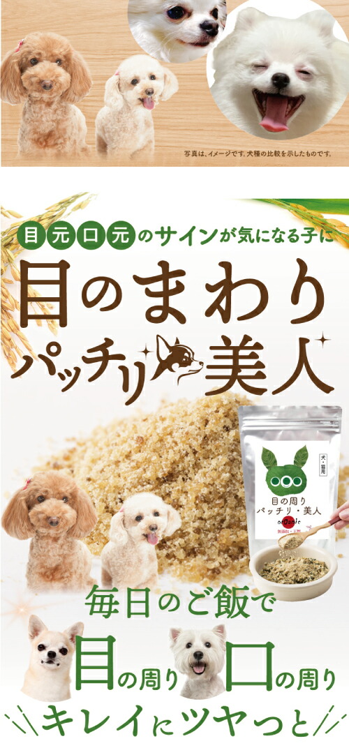 犬サプリメント 目の健康維持に ミックスベリー味 15本入 犬 サプリ