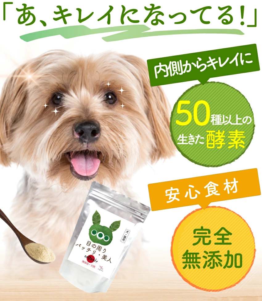 期間限定特価】 犬 猫用 涙焼け サプリ 目の周りパッチリ美人 100g 無添加 旧名