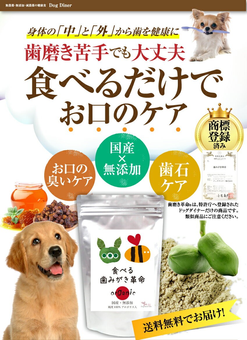 オーガニック 犬用 食べる歯磨き サプリメント 口 口臭に ギガランキングｊｐ