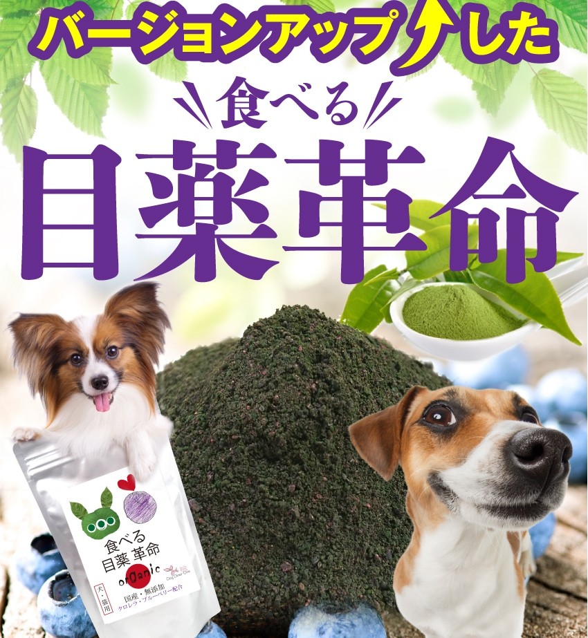 犬 犬用品 目薬 視力 目の 送料無料 サプリ 食べる 目薬 革命100g 無添加 ブルーベリー 配合 メール便 送料無料 100g 犬のご飯とケーキのドッグダイナー