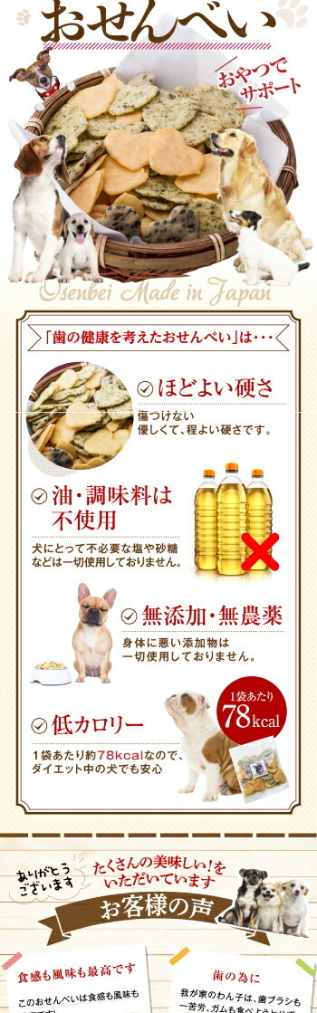無添加 国産 犬のおやつ 歯に良いせんべい 5袋 口臭 歯周病も予防が出来る犬用おやつ 犬 おやつ 犬のご飯とケーキのドッグダイナー 通販 Yahoo ショッピング