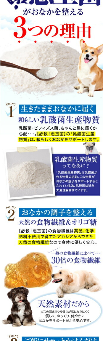 犬と猫の酪酸菌(らくさんきん)を育てるサプリ「腸内免疫らく