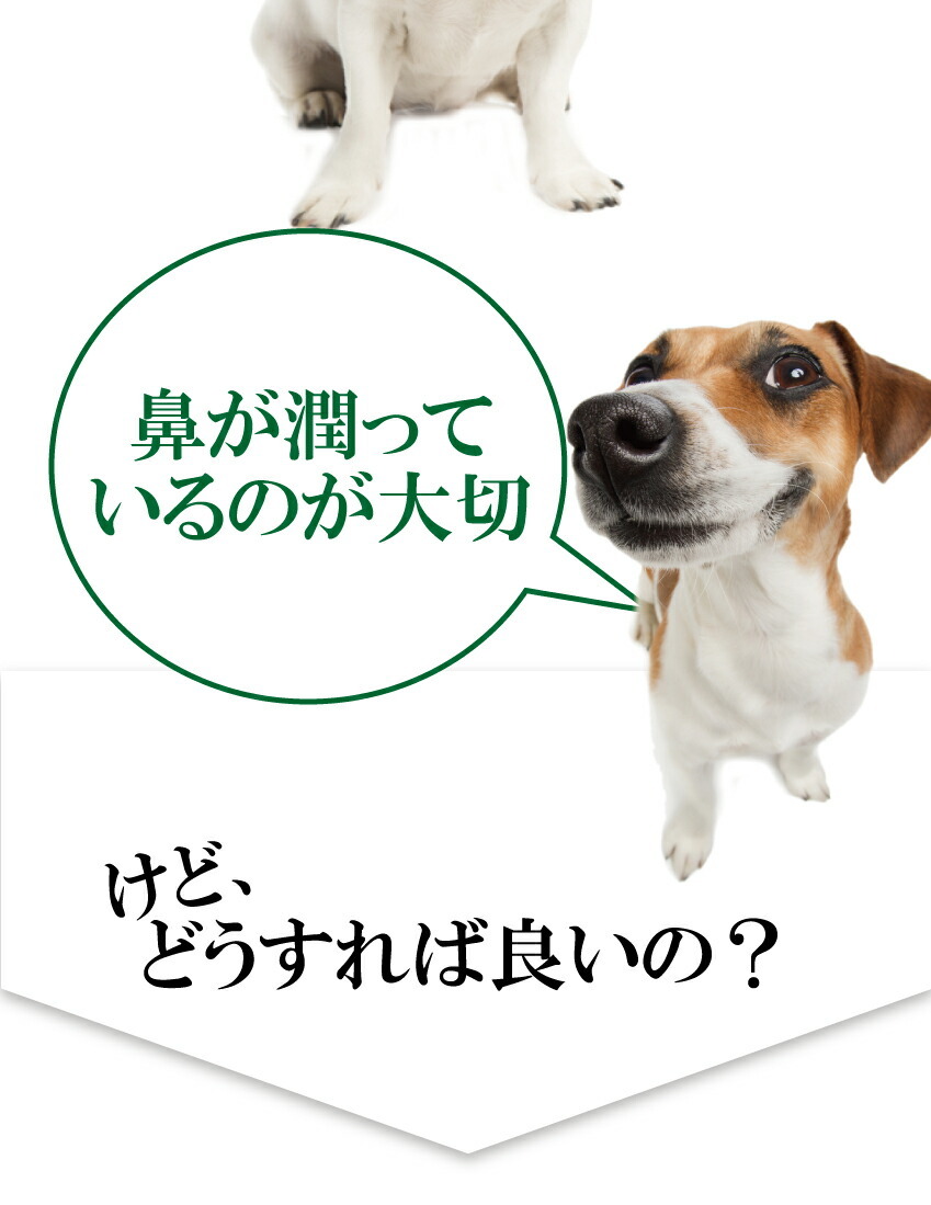 犬・猫のアレルギー・無添加 天然のサプリメント