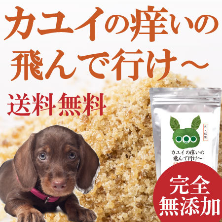 食べる歯磨き革命・犬の口臭・虫歯に