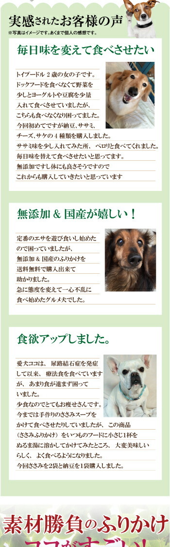 犬 猫用 ふりかけ 素材勝負のふりかけ 無添加 国産 チーズ ささみ 納豆 鮭 鹿 送料無料 St1000 犬のご飯とケーキのドッグダイナー 通販 Yahoo ショッピング