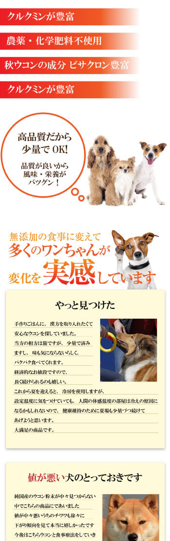 犬 ペットの肝臓に サプリ ぽかぽか ウコン 100g 有機 無添加 秋ウコン メール便 送料無料 12 C 犬のご飯とケーキのドッグダイナー 通販 Yahoo ショッピング