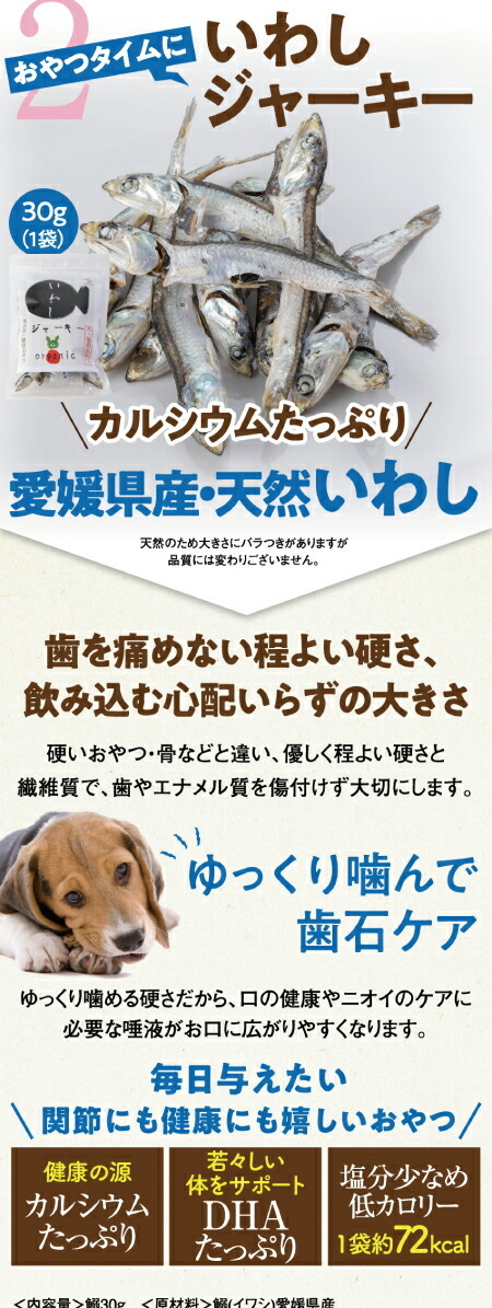 犬の関節、骨・腰・足・脱臼・歩行・後ろ足にサプリとおやつ・無添加