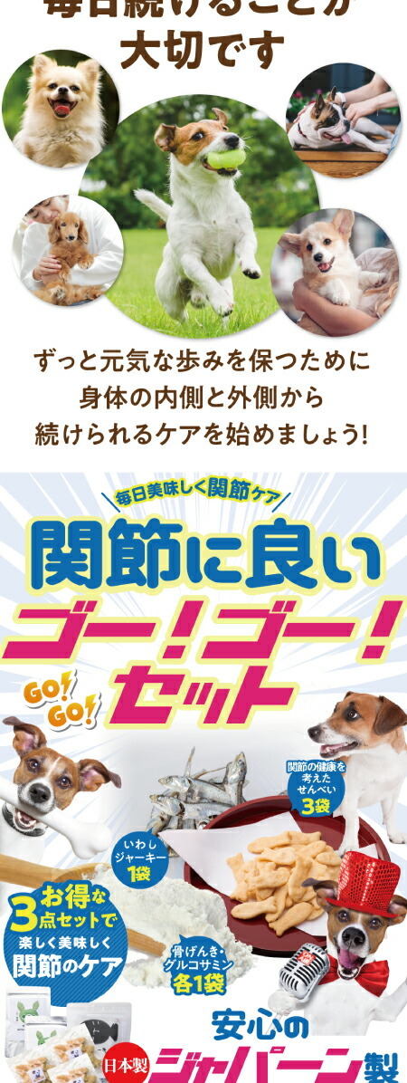 犬の関節、骨・腰・足・脱臼・歩行・後ろ足にサプリとおやつ・無添加