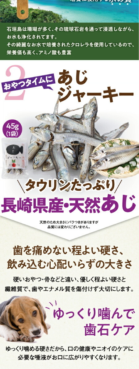 犬犬の白内障・涙焼け・目・涙やけにサプリとおやつ・無添加