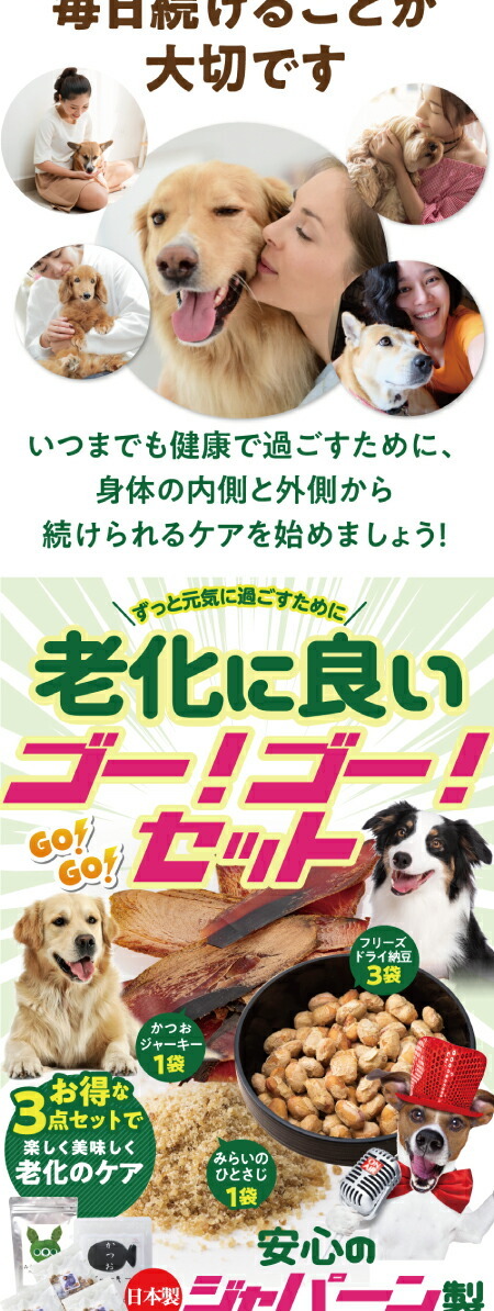 犬の免疫・免疫力・高齢犬・老犬・シニアのサプリ おやつ・無添加