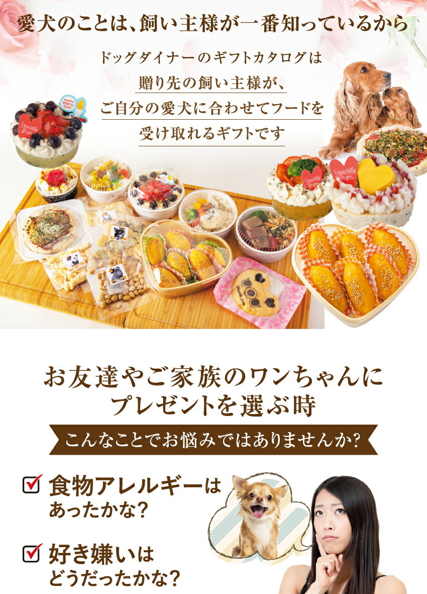 予測 知覚する スケッチ 犬 カタログ ギフト Healthcentergurus Com