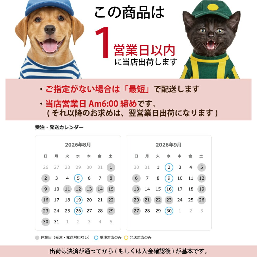 ドッグダイナー 食べる歯磨き革命 お試し5g 小型犬約10日分 犬 猫