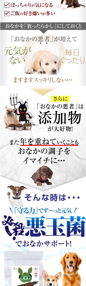 犬 ペット用 腸の為のサプリメント 必殺 悪玉菌 無添加の犬のサプリ メール便 送料無料 Hissatu 犬のご飯とケーキのドッグダイナー 通販 Yahoo ショッピング