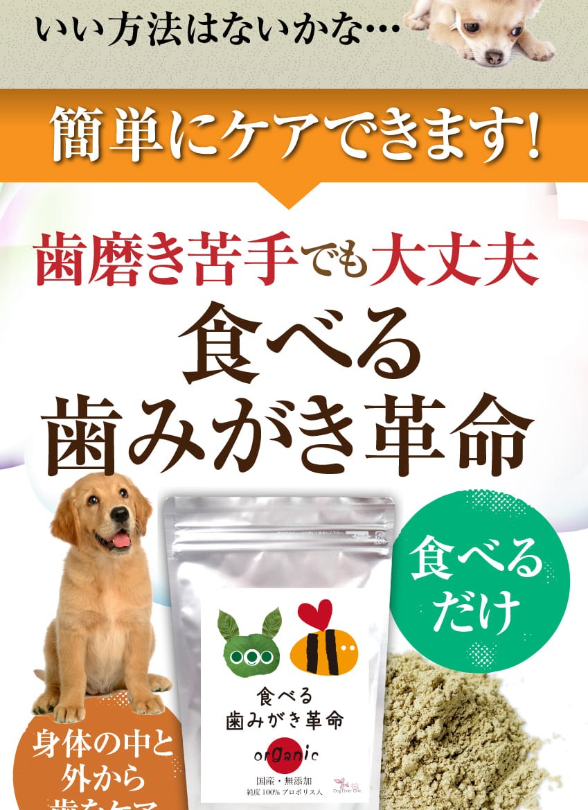 オーガニック 犬用 食べる歯磨き サプリメント 口 口臭に ギガランキングｊｐ