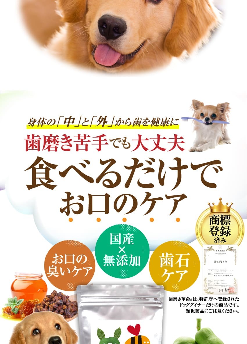 オーガニック 犬用 食べる歯磨き サプリメント 口 口臭に ギガランキングｊｐ