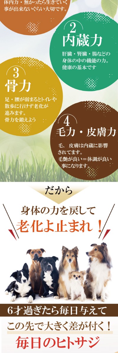 犬 猫 肝臓 骨 関節 ダイエット アレルギー サプリ 老犬 ギガランキングｊｐ