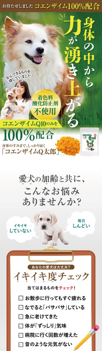 犬 ペット用 サプリ コエンザイムq10 コエンザイム Q太郎 無添加 送料無料 犬のご飯とケーキのドッグダイナー 通販 Yahoo ショッピング