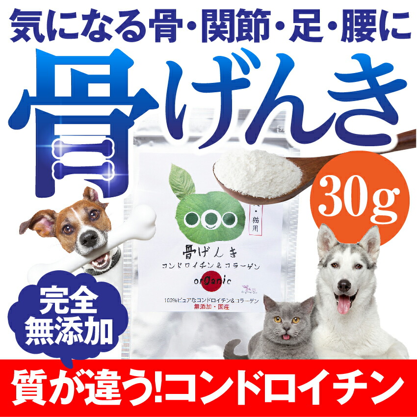 食べる歯磨き革命・犬の口臭・虫歯に