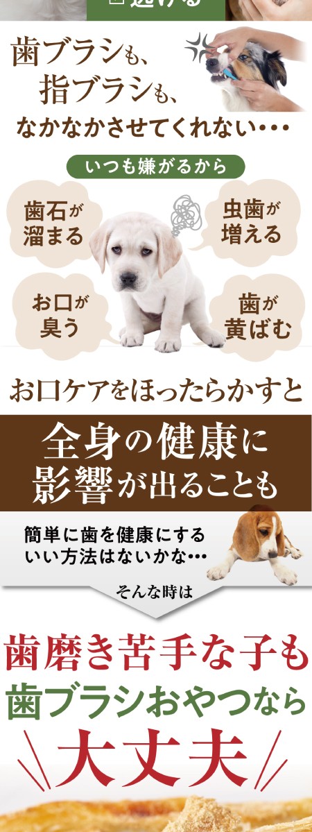 犬 猫 歯石 歯垢に無添加 食べる 歯ブラシ 革命 大袋 サプリのような歯磨き おやつ 通常便 犬のご飯とケーキのドッグダイナー 通販 Yahoo ショッピング