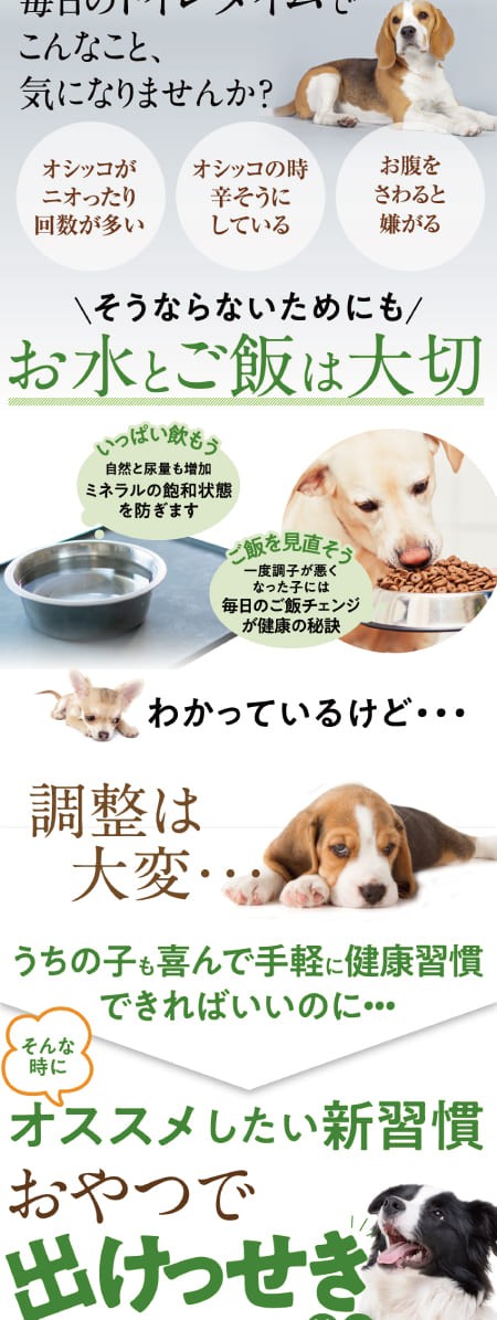 犬 猫用 サプリ おやつで出けっせき 結石 取ります 無添加 Kesseki Oyatu 犬のご飯とケーキのドッグダイナー 通販 Yahoo ショッピング