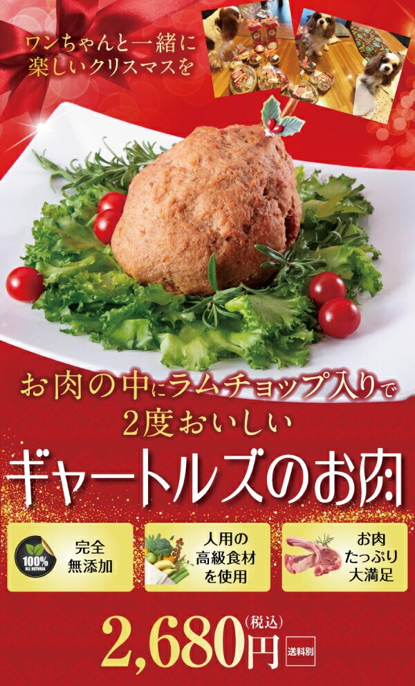 犬用クリスマスご飯 ギャートルズ 肉 マンガ肉 犬 クリスマスケーキ との同梱可能 犬のご飯とケーキのドッグダイナー 通販 Yahoo ショッピング