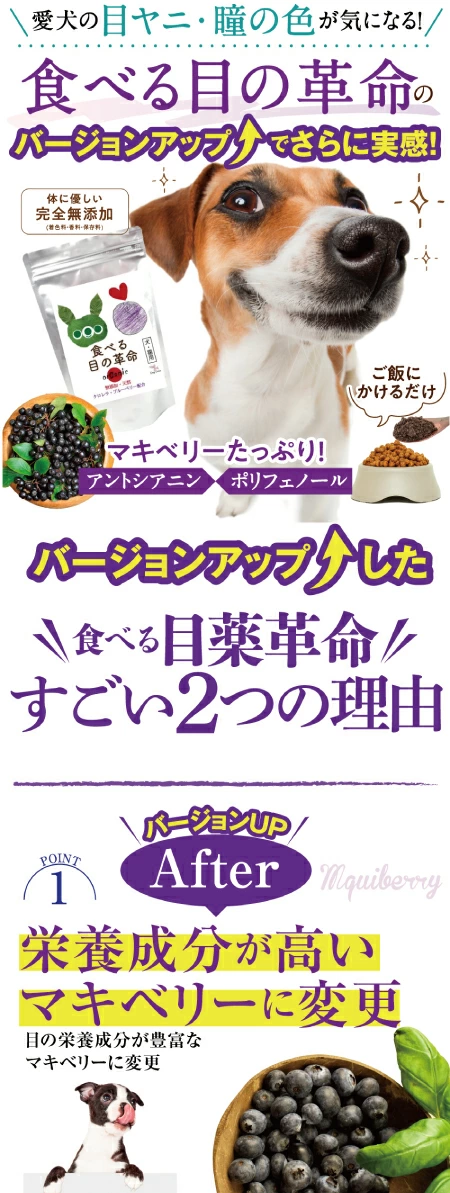 【新・獣医推奨】犬 猫用 目のケア サプリ(旧名 食べる 目薬 革命 新名 食べる目の革命 30g)無添加 ブルーベリー 配合 粉末