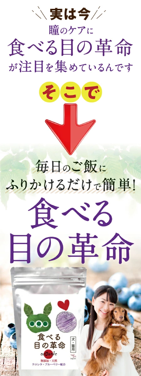 新・獣医推奨】犬 猫用 目のケア サプリ(旧名 食べる 目薬 革命 新名