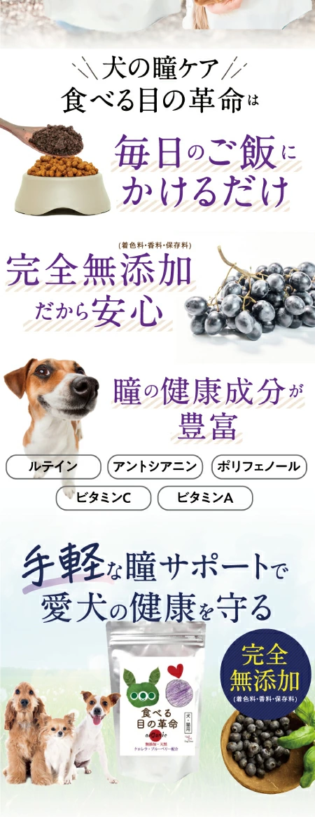 新・獣医推奨】犬 猫用 目のケア サプリ(旧名 食べる 目薬 革命 新名