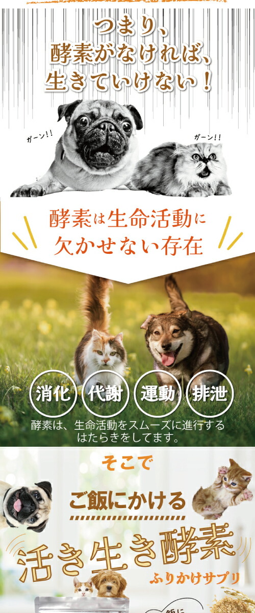 犬・ペット用 サプリ(活き生き 酵素 100g)無添加 【メール便 送料無料