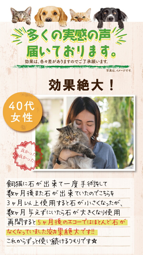 犬・猫の尿路結石・結石をサポート 無添加　サプリ