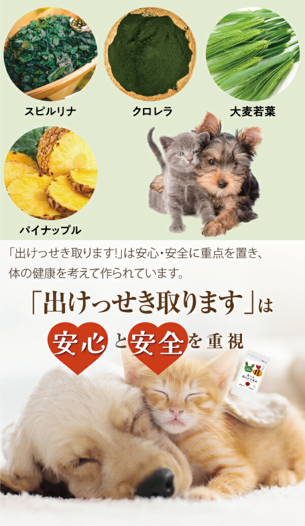 犬・猫の尿路結石・結石をサポート 無添加　サプリ