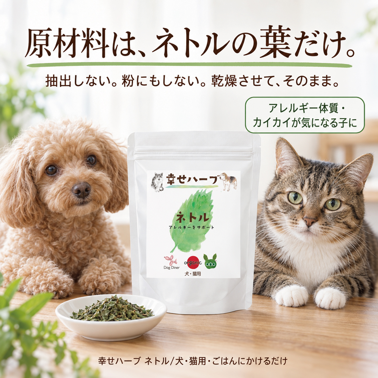 犬猫用 皮膚炎 痒み 痒い アレルギー 天然のサプリ ハーブ ネトル 20g 国産 無添加 有機 ペット用 | ドッグダイナー | 01