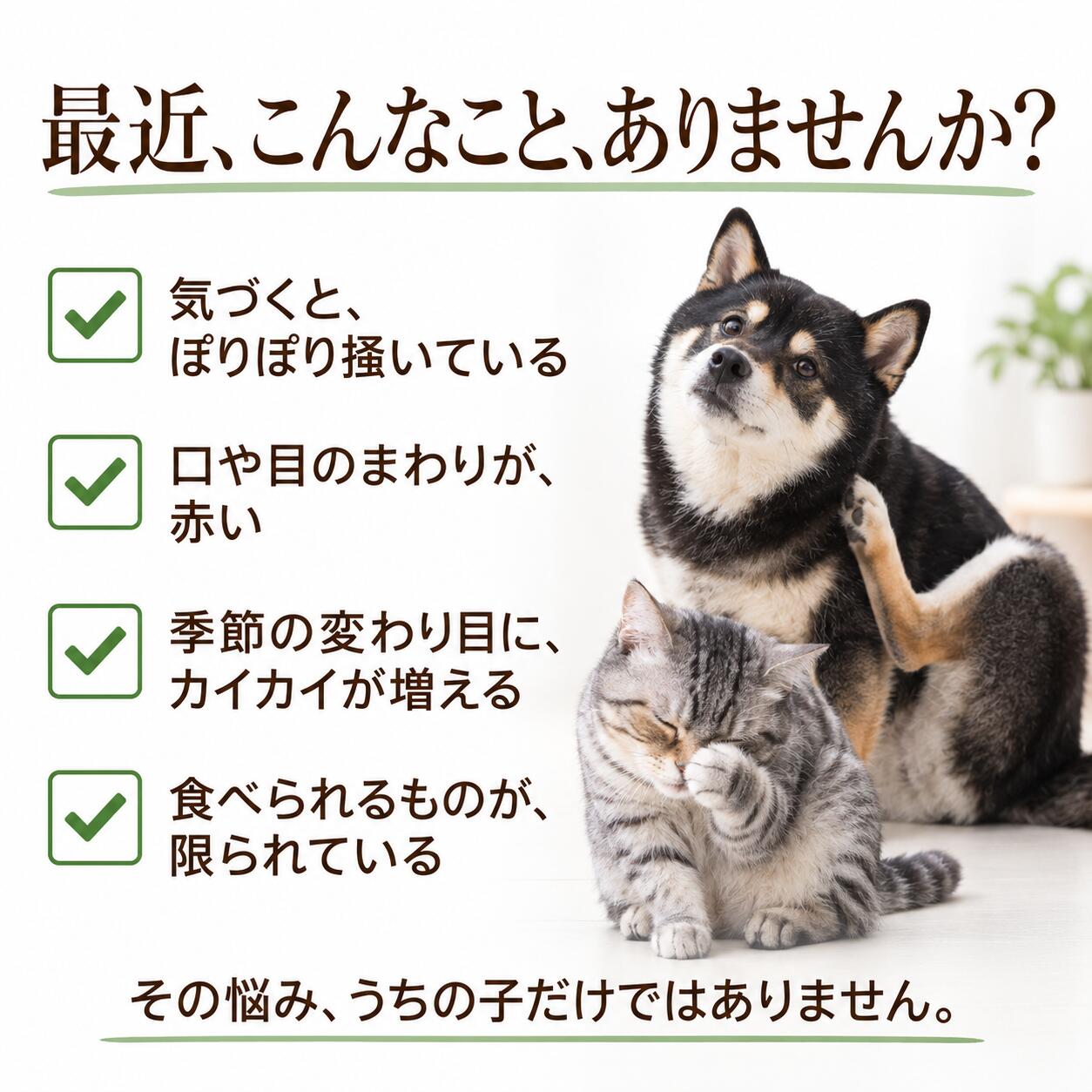 犬猫用 皮膚炎 痒み 痒い アレルギー 天然のサプリ ハーブ ネトル 20g 国産 無添加 有機 ペット用 | ドッグダイナー | 03