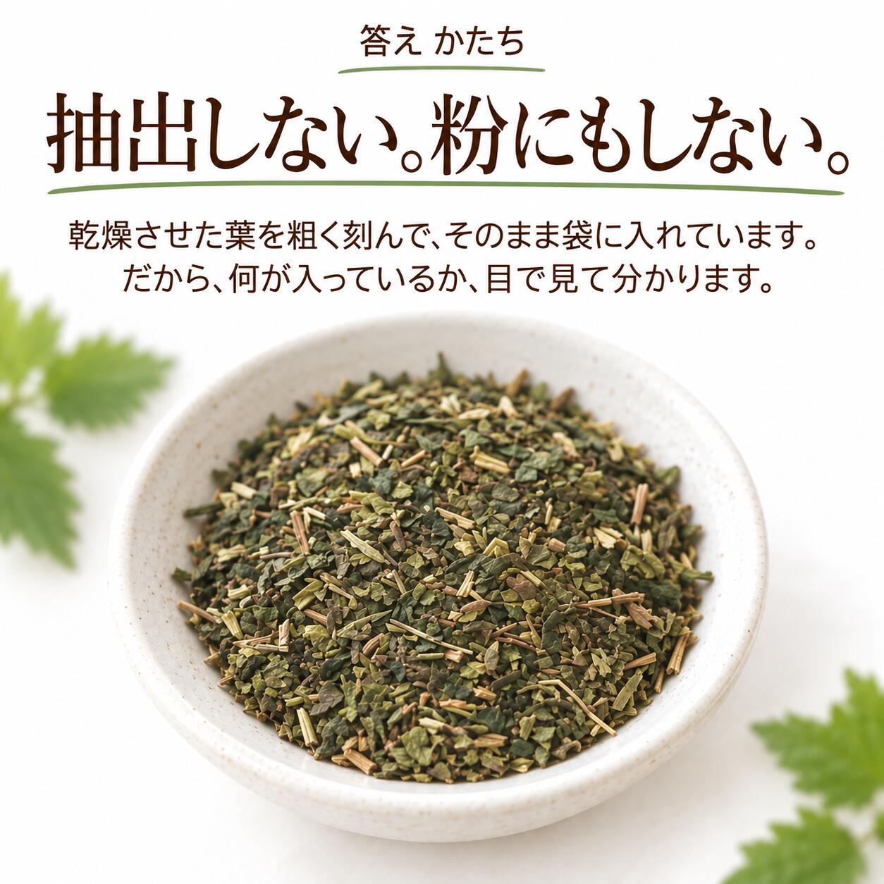犬猫用 皮膚炎 痒み 痒い アレルギー 天然のサプリ ハーブ ネトル 20g 国産 無添加 有機 ペット用 | ドッグダイナー | 07