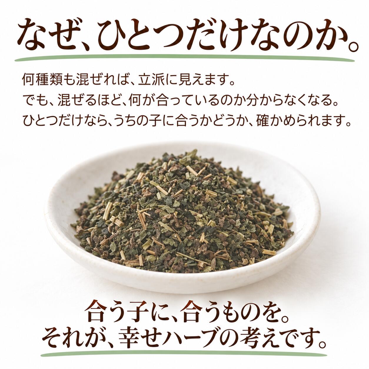 犬猫用 皮膚炎 痒み 痒い アレルギー 天然のサプリ ハーブ ネトル 20g 国産 無添加 有機 ペット用 | ドッグダイナー | 09