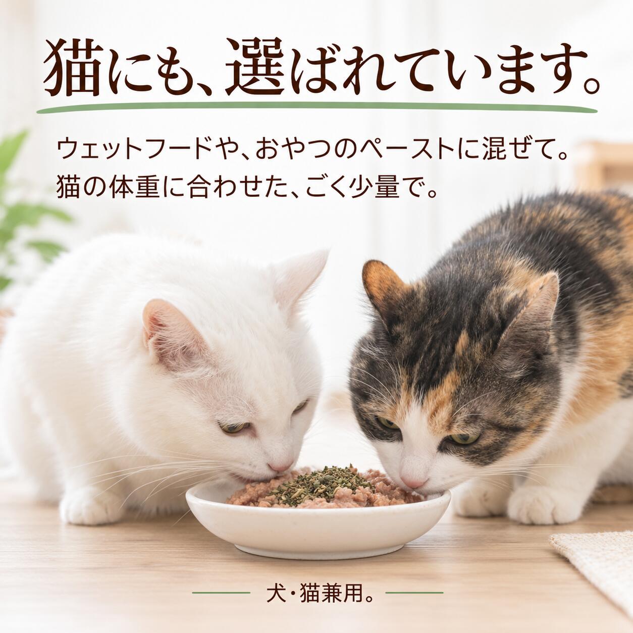 犬猫用 皮膚炎 痒み 痒い アレルギー 天然のサプリ ハーブ ネトル 20g 国産 無添加 有機 ペット用 | ドッグダイナー | 11